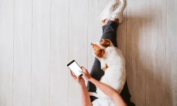 Een wit-bruine hond ligt op schoot bij een baasje dat met de telefoon online een oppas zoekt.