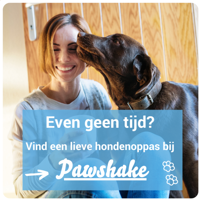vind een hondenoppas