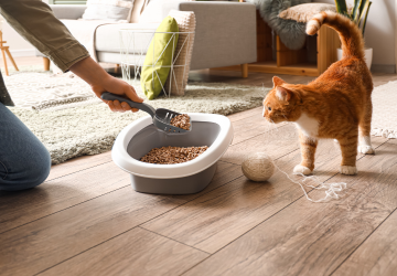 Kattenbak schoonmaken