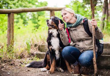 Vrouw met Berner Sennenhond in de natuur