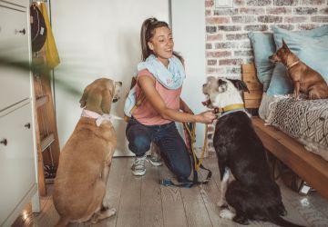 Hondenoppas in haar huis met drie honden
